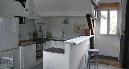 the attic of Orange. Appart in old house 20 m from the pedestrian street