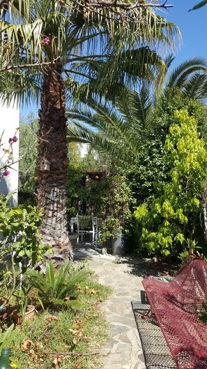 A garden pathway with a palm tree, a red bench, and various plants.