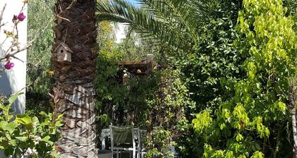 LUMINOUS APARTMENT WITH PRIVATE GARDEN (near shops, transport, park ...)