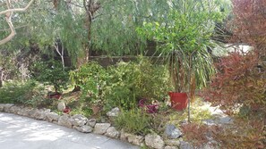 Parco della struttura