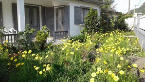 Ein Haus mit einer Veranda, umgeben von einem Garten mit gelben Blumen.