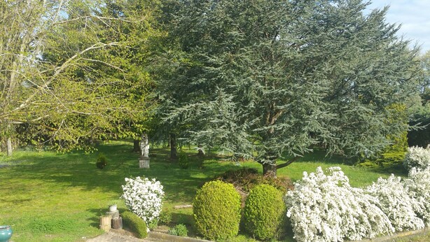 A garden with various trees, a statue, and flower beds. - 50m² studio with garden near Toulouse (Baziège)