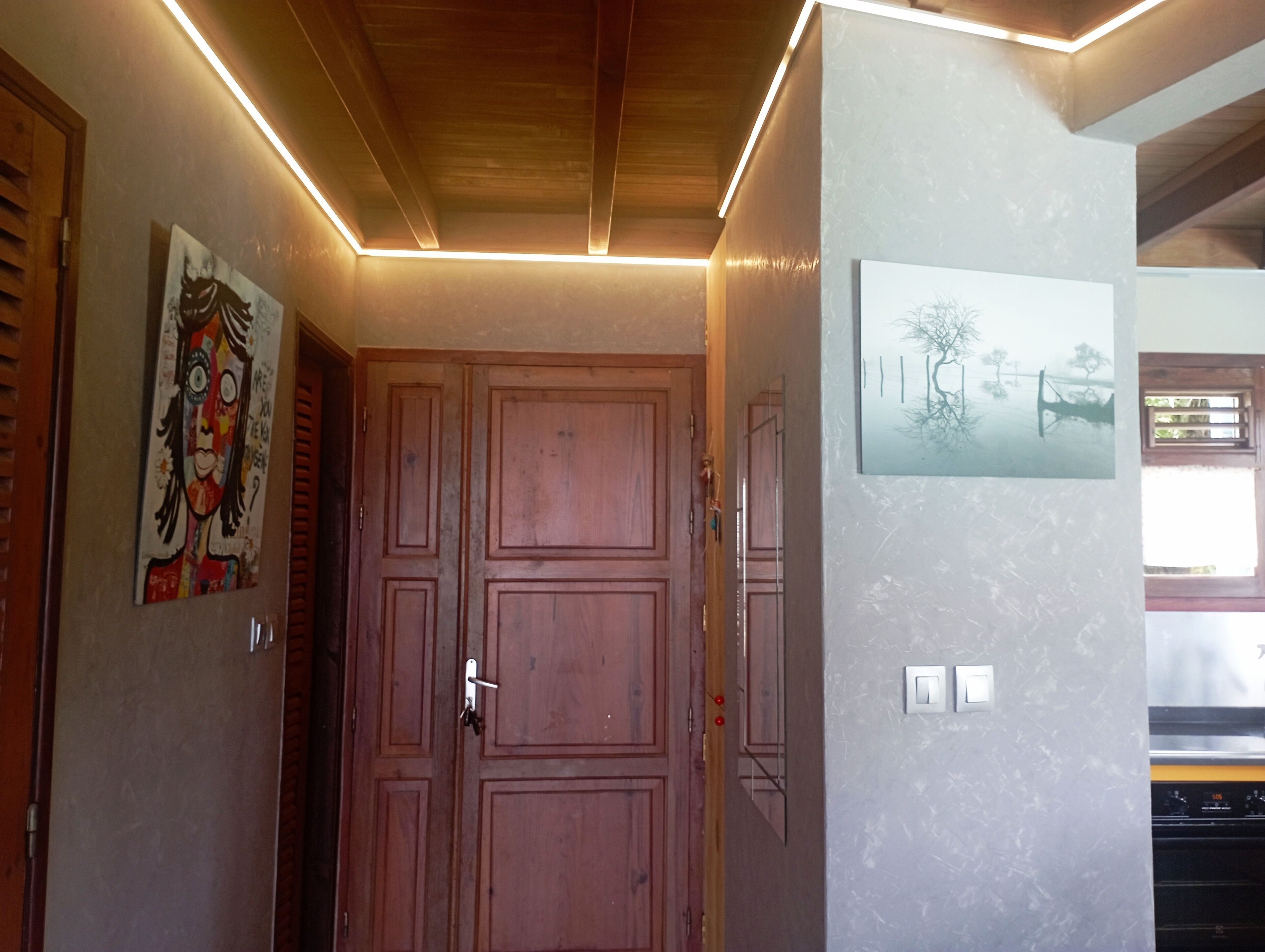Un couloir avec des portes en bois, un tableau accroché au mur et un luminaire au plafond.