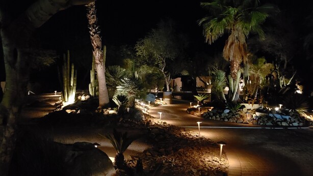 A nighttime view of a landscaped garden with pathways, palm trees, and decorative lighting. - Cave Creek Guest Suite (Cave Creek)