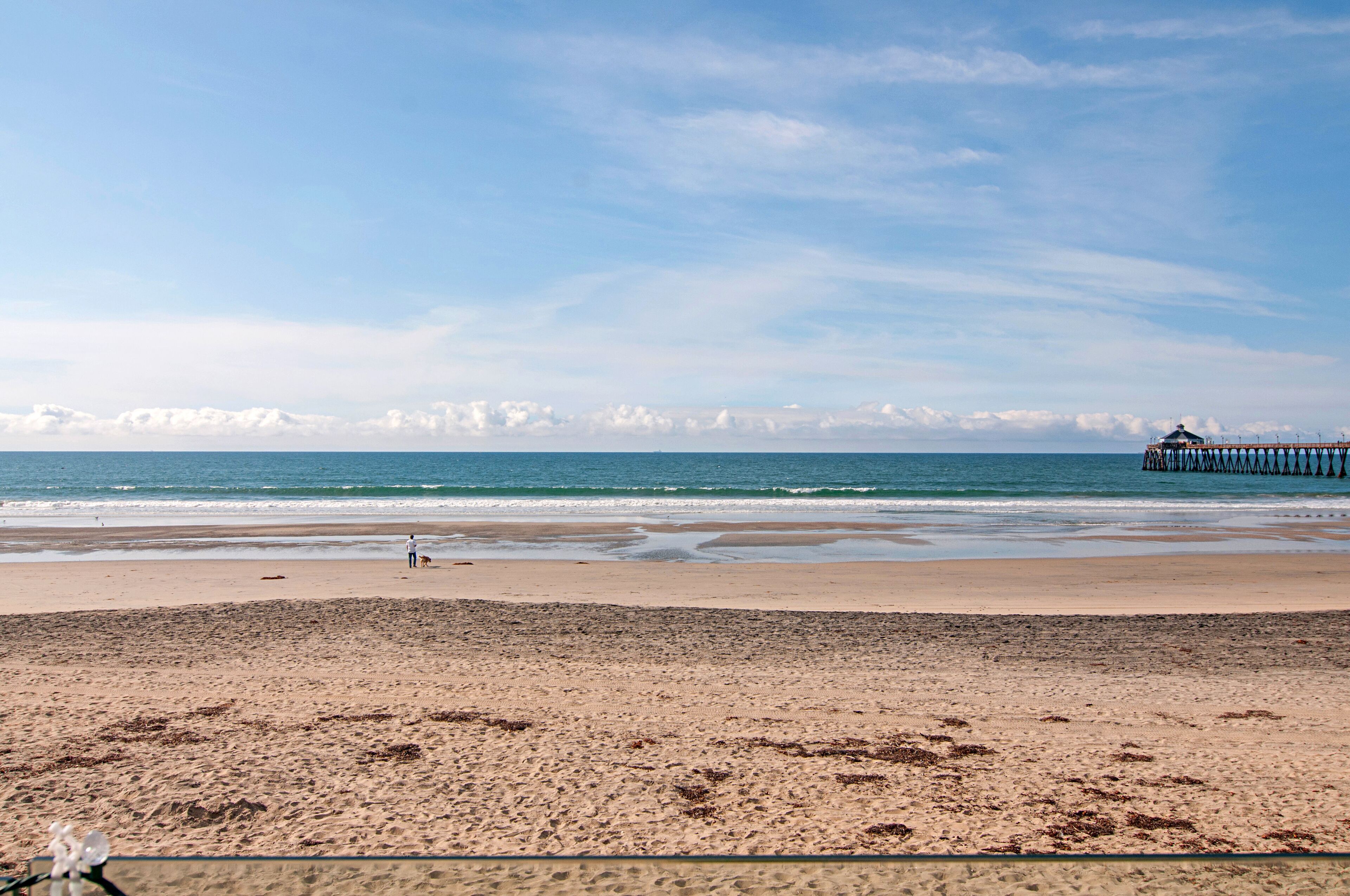 Une plage avec une jetée qui s’avance dans l’eau, une personne promenant un chien et un ciel dégagé.