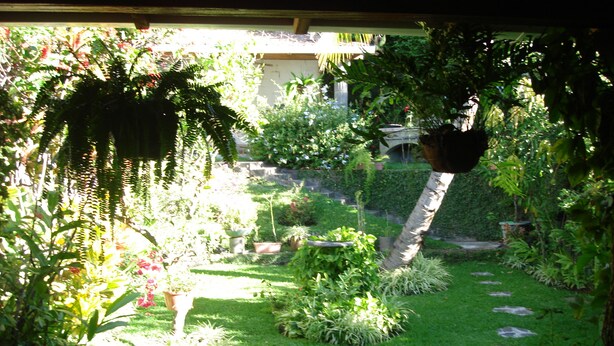 A garden with various plants and a stone pathway. - Vacation Home: the Space, Privacy, Comfort of Your Own House! (San Salvador)