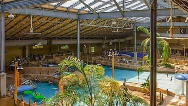 An indoor swimming pool with a high ceiling and metal beams, surrounded by tropical plants.