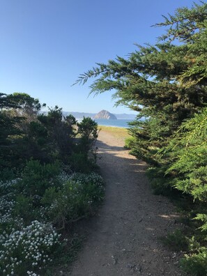 Un sendero de tierra que lleva a una playa, con una montaña al fondo.