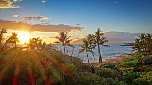Escena de playa tropical con palmeras y una puesta de sol sobre el océano.