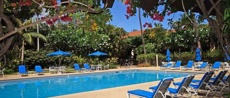 A pool area with blue lounge chairs and umbrellas, surrounded by lush greenery and palm trees.