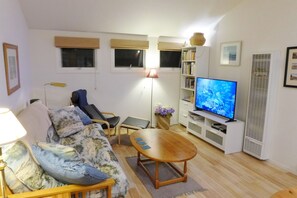 TV connectée, lecteur de DVD, livres, vidéothèque