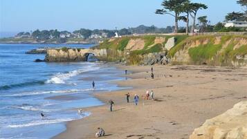 Plage à proximité, chaises longues, serviettes de plage