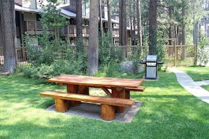 Enjoy a serene outdoor setting with a picnic table, barbecue grill, and pathway to the building.