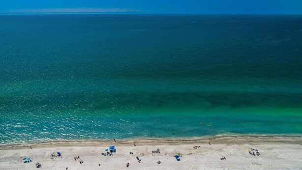 A beach with clear turquoise water, a sandy shore, and several beach umbrellas. - Come and enjoy our large intercoastal beach suite with pool (Indian Shores)