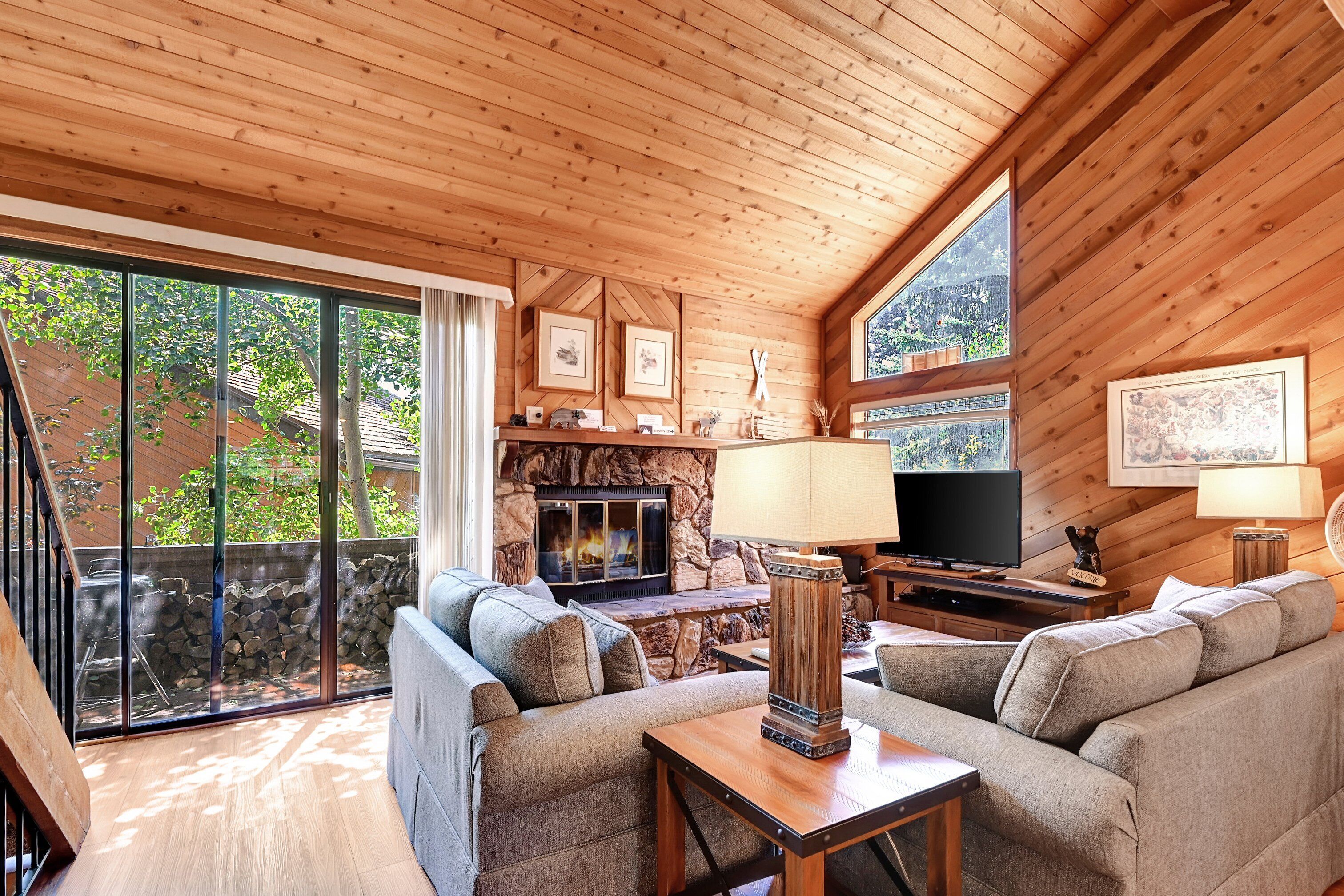 Una televisión, una chimenea