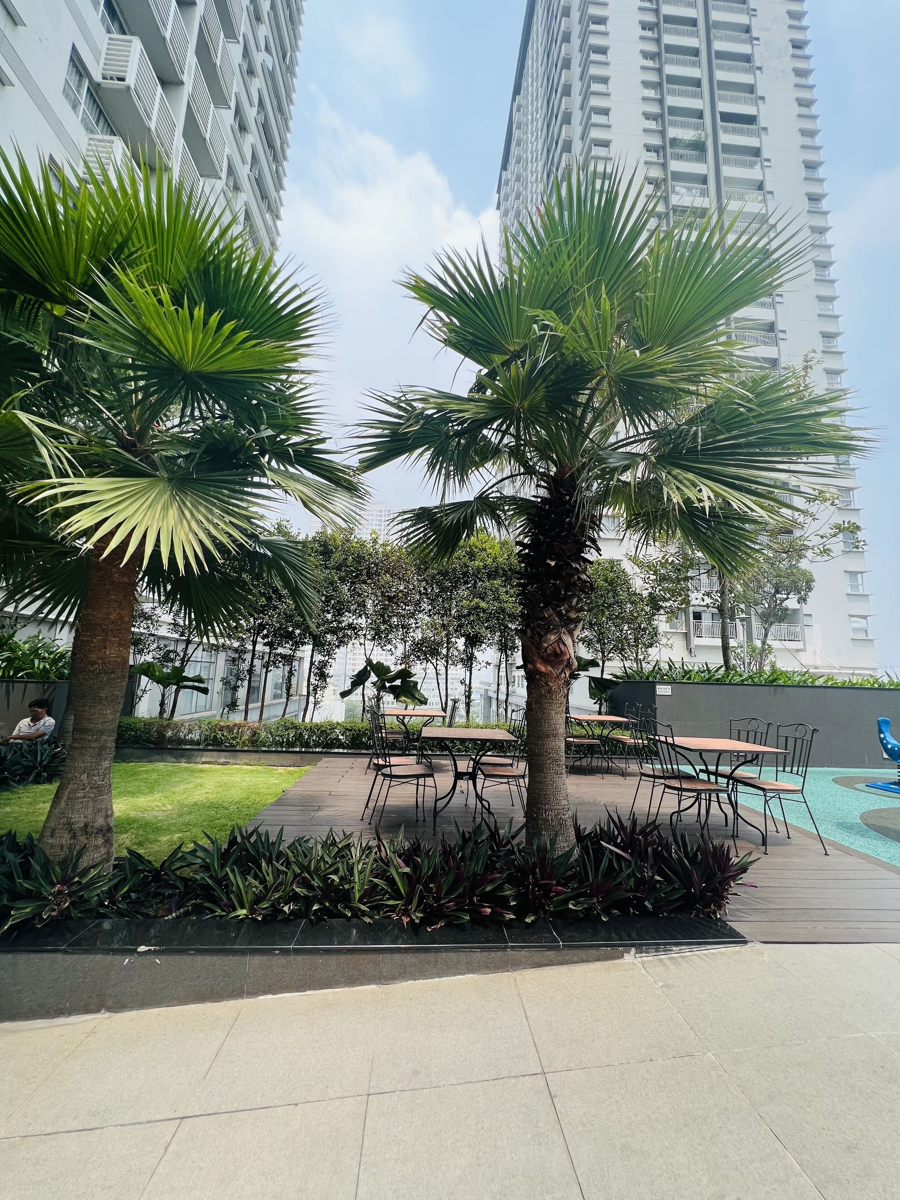 Un jardín en la azotea con palmeras, asientos al aire libre y una piscina.