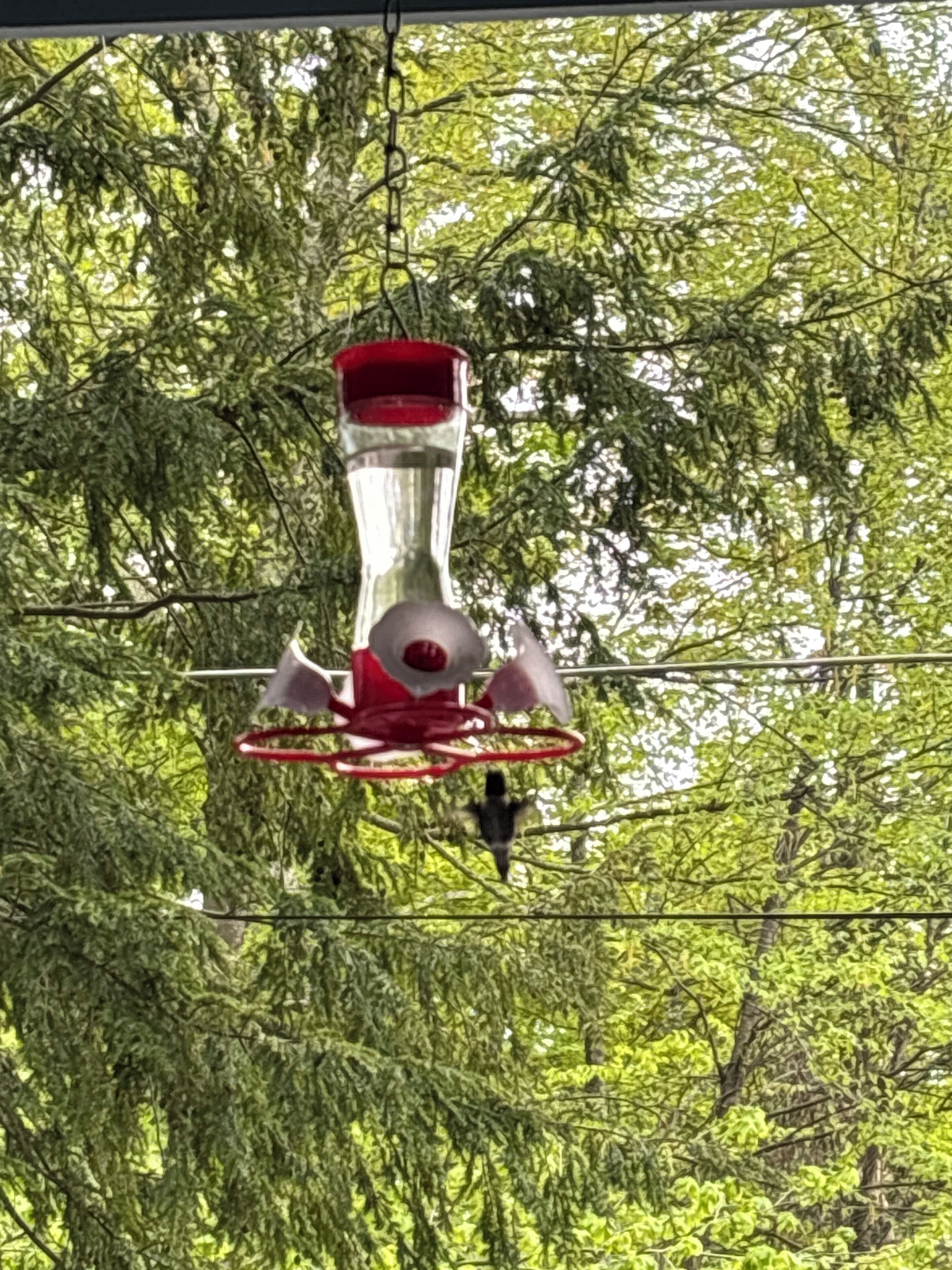 Ein Vogelhaus, das inmitten dichtem Blattwerk hängt.
