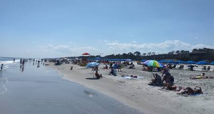 OCEAN VIEW & WALK PARTOUT! Nous sommes en face de Coligny! Condo 100% entiĂšrement mis Ă jour