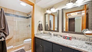 Shower, hair dryer, towels, toilet paper