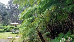 Un exuberante jardín con helechos y una pequeña mesa con sillas.
