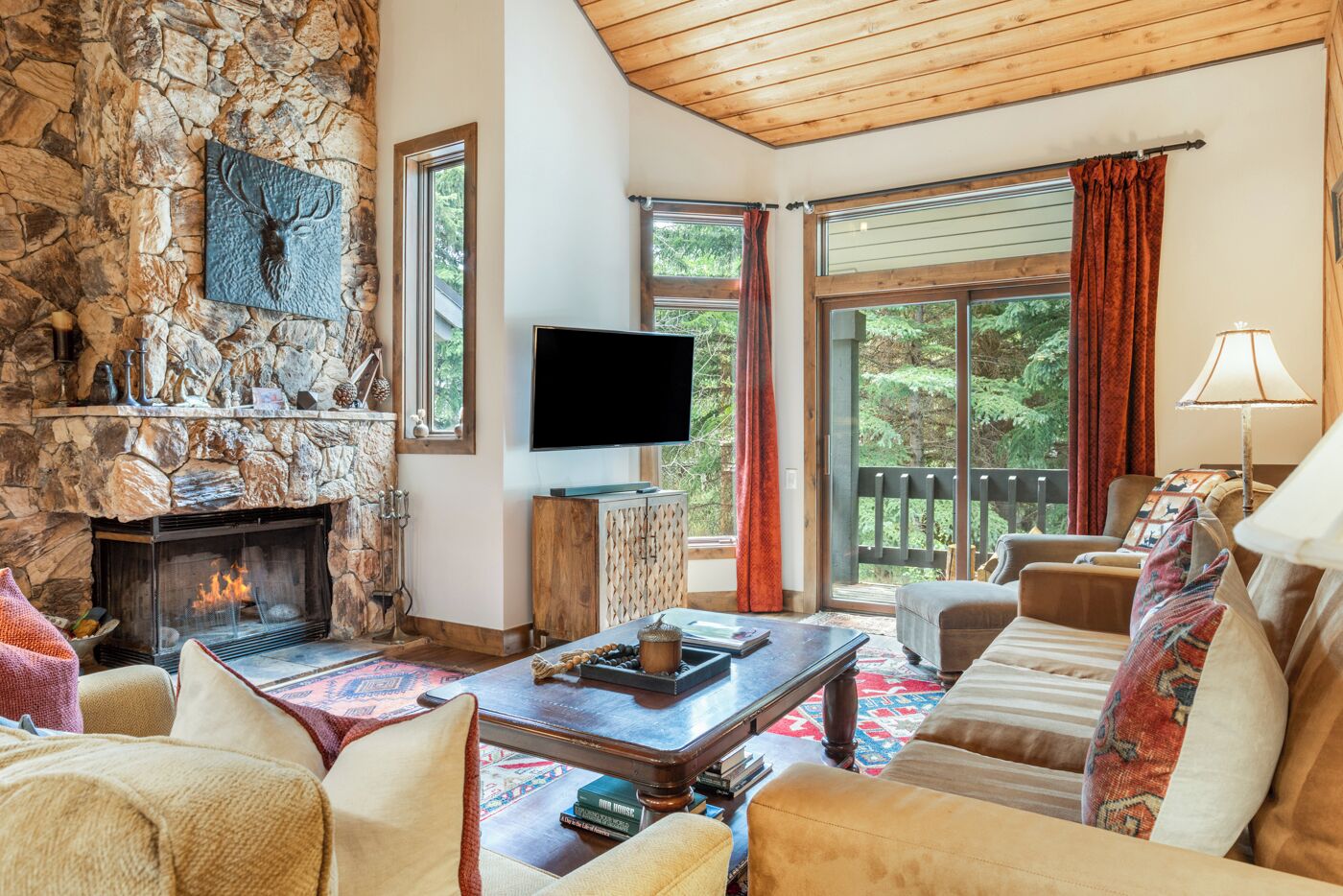 TV, fireplace