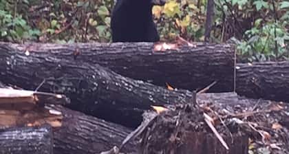 Built in 2018 this is a charming, spacious chalet that sleeps 6!