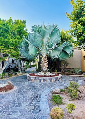 Property grounds - Beautiful 2 Bed, 2 Bath Casa Steps From The Beach & Pools In Loreto Bay (Loreto)