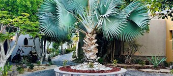 Beautiful 2 Bed, 2 Bath Casa Steps From The Beach & Pools In Loreto Bay
