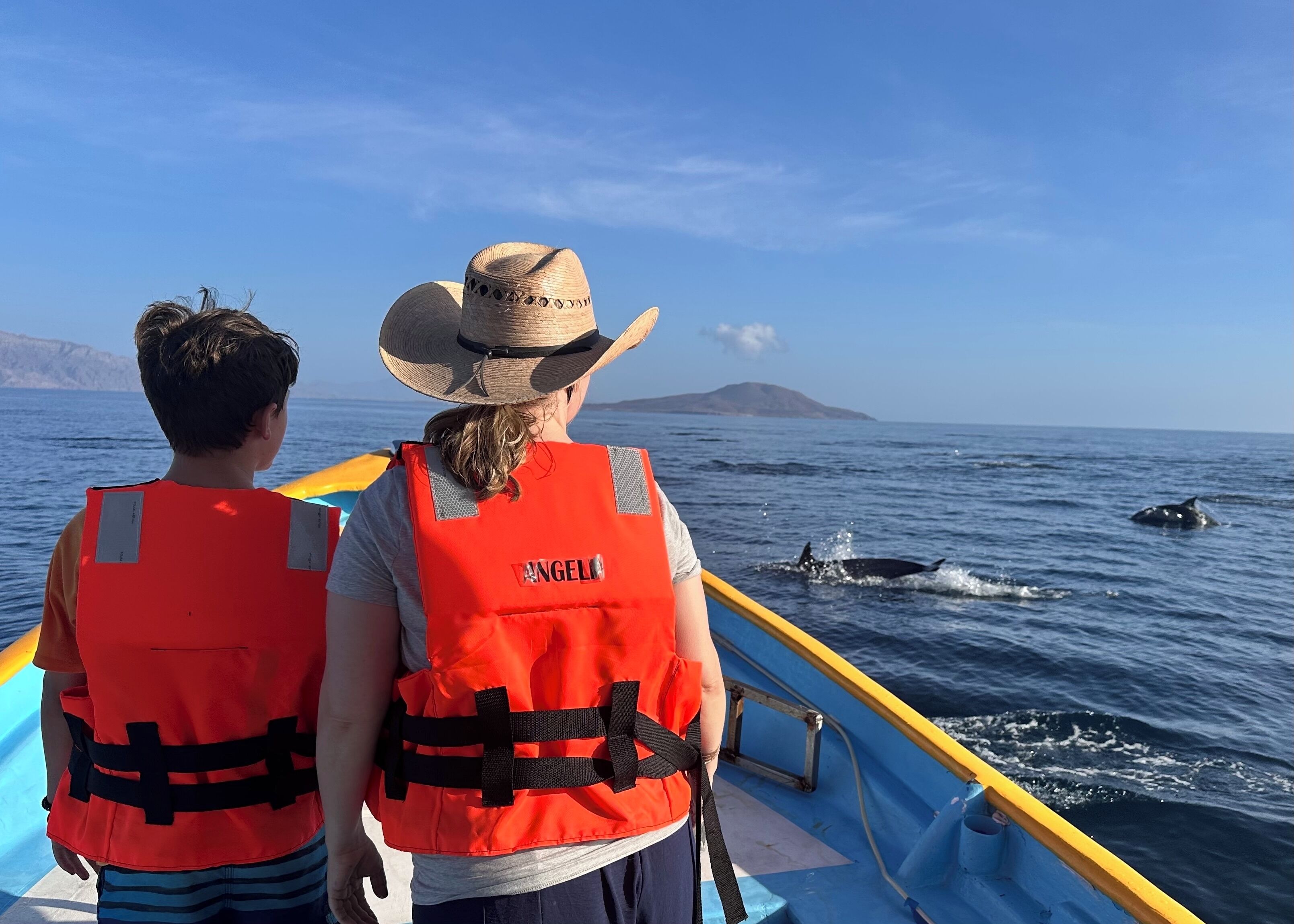 Dos personas en un bote, con chalecos salvavidas anaranjados, observando ballenas en el océano.