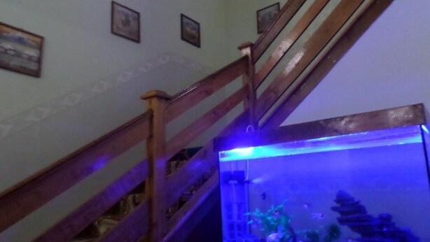 A staircase with wooden railings and a fish tank at the bottom. - Vacation House - Hostel (Kochkor)