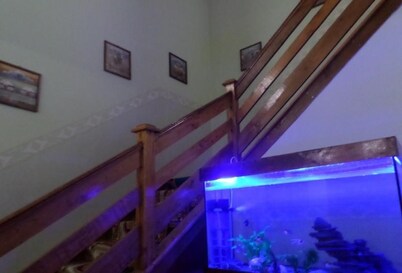 Vacation House - Hostel