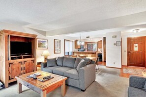 电视、壁炉、立体声音响