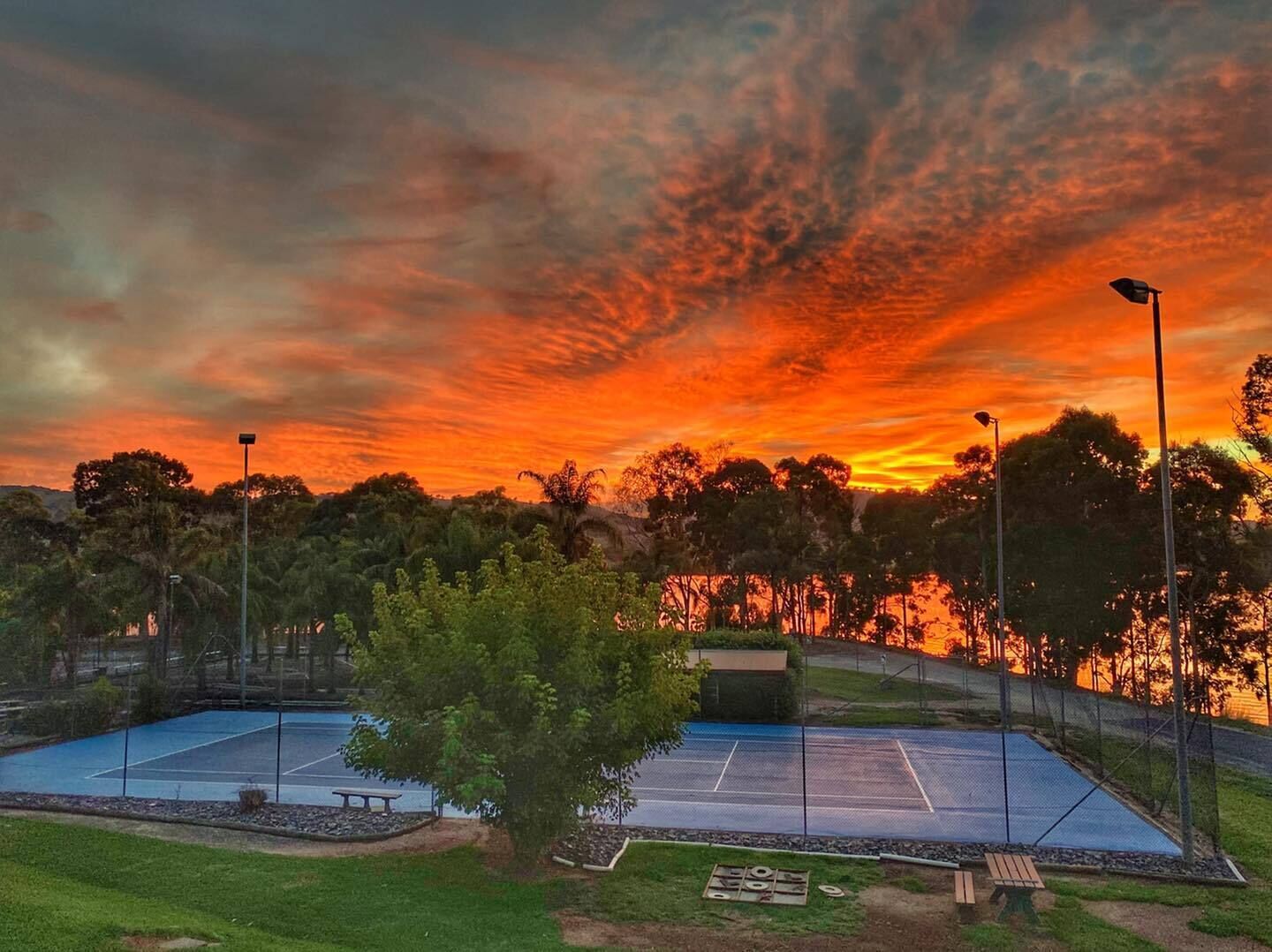 Una cancha de tenis con red, rodeada de árboles y una valla.