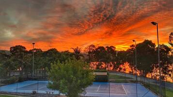 Una cancha de tenis con red, rodeada de árboles y una valla.