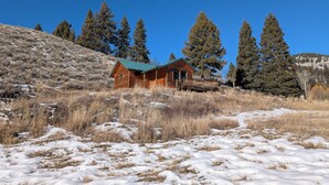 A wooden cabin with a green roof, surrounded by snow-covered ground and tall evergreen trees. - Peaceful Cabin for Two - Stunning Mountain Views - Wildlife Viewing (Gardiner)