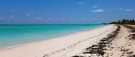 Sun-loungers, beach towels