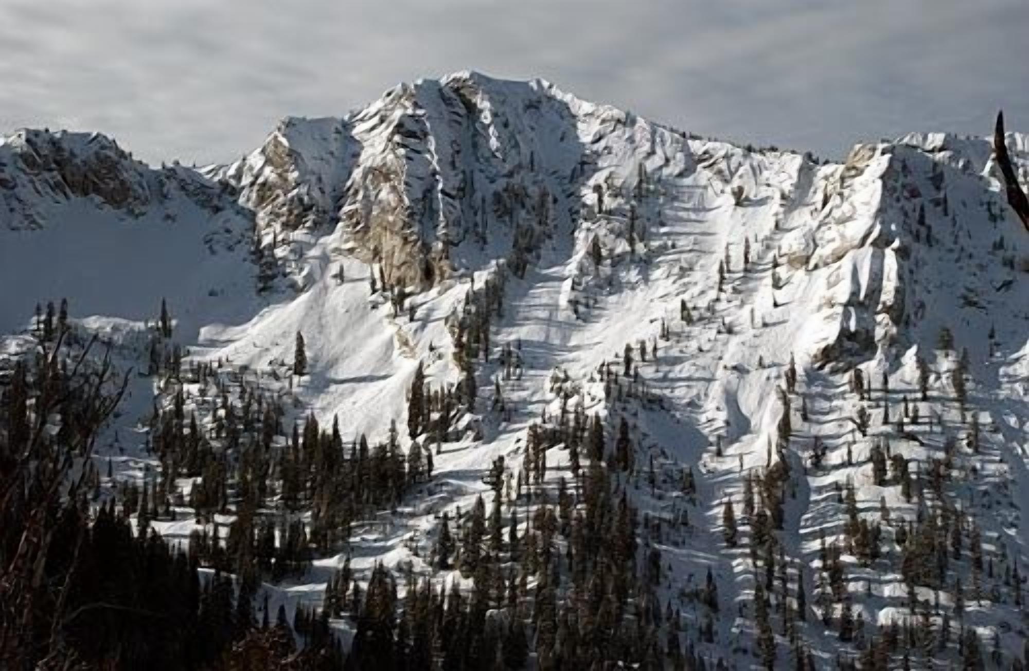 Une montagne enneigée, au relief accidenté, et dont le pied est bordé d’une forêt dense.