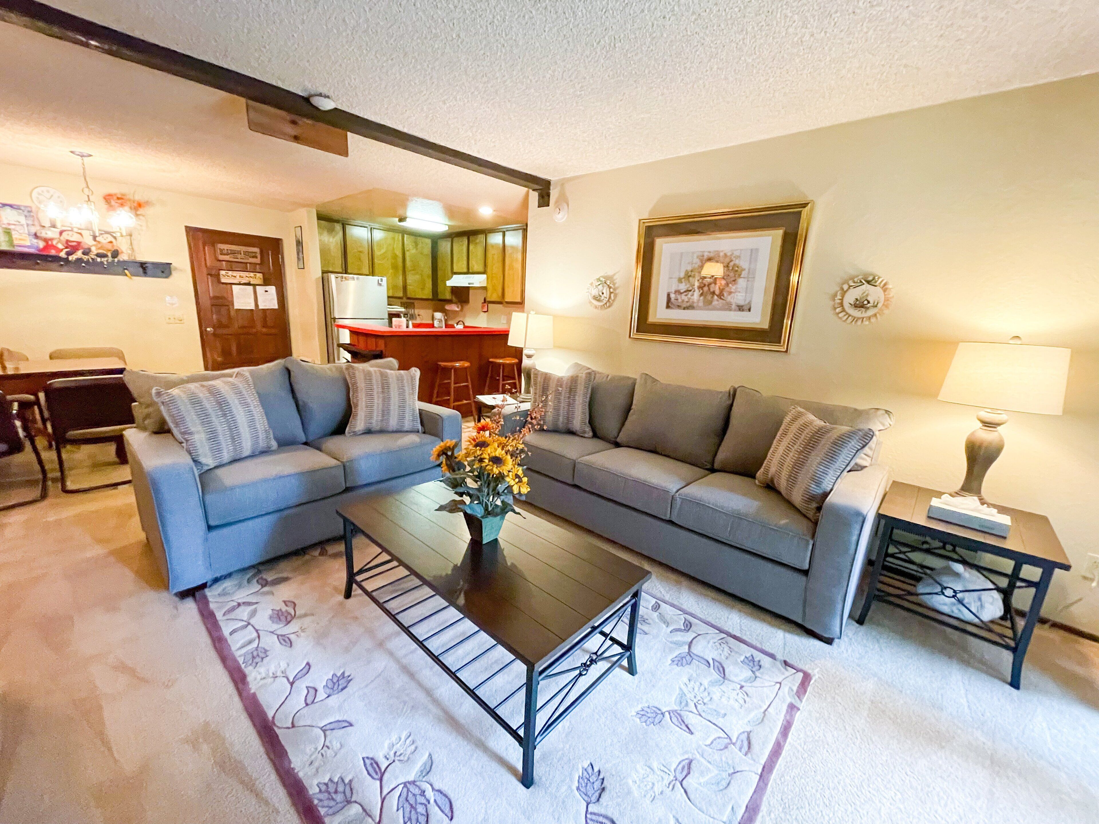 TV, foosball, video library, stereo