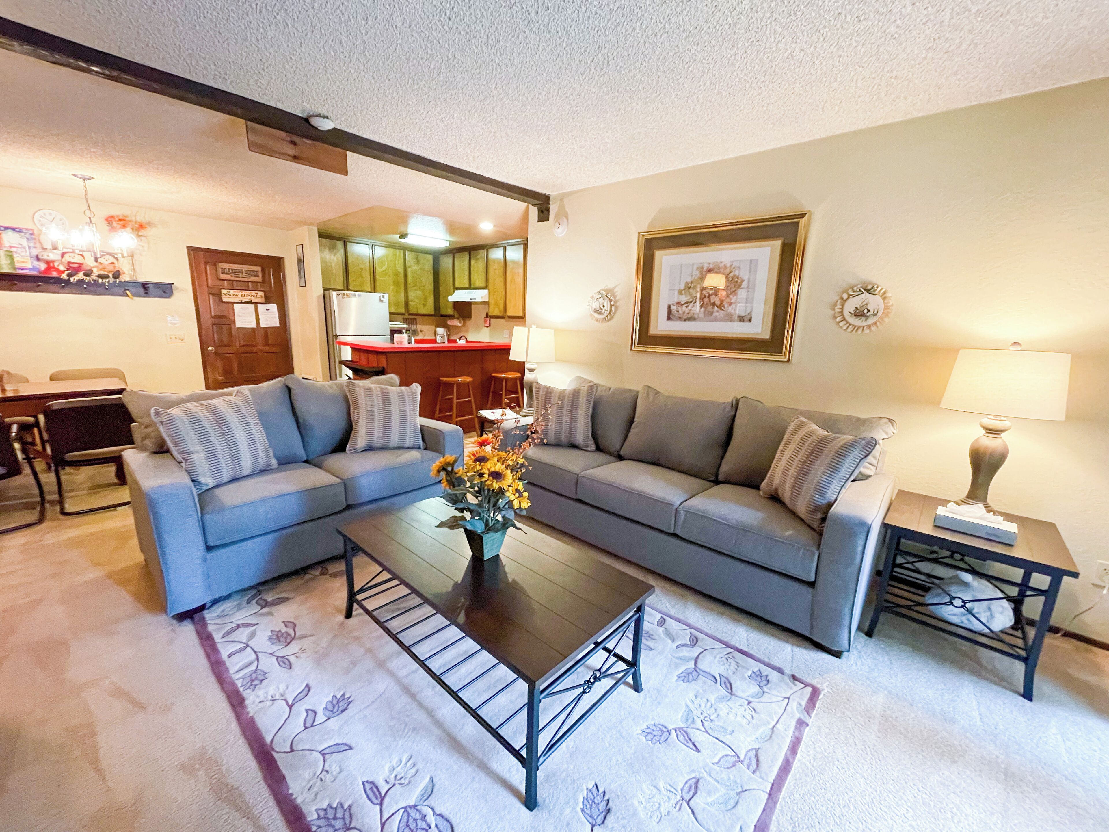 TV, table football, video library, stereo