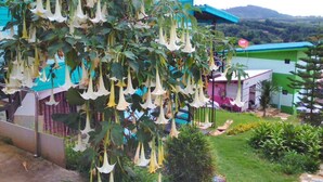 A garden with hanging flowers and a view of a residential area with houses and hills in the background. - Phakdeehome Viewmorg (Khao Kho)