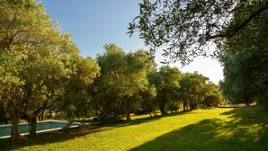 Ein Park mit Schwimmbad, Bäumen und einer Rasenfläche.