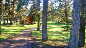 A forested area with a dirt path leading to a wooden structure. - Bear Paw Ranch Vacation Rentals (Bigfork)