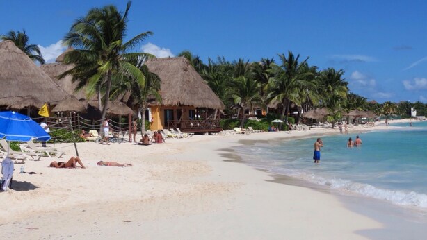 Ein Strand mit strohgedeckten Hütten, Palmen und einem sandigen Ufer.