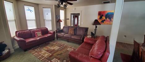 Smart TV, chimenea, reproductor de DVD, libros