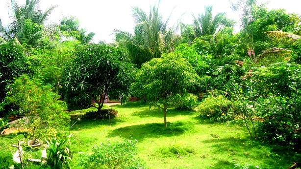 Unclassified image, 1 of 17, button - Coral Beach Villa (Trincomalee)