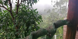 City view - Ella 9 Arch Miracle (Ella)