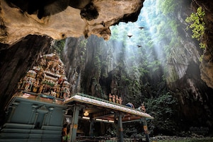 Ecotours