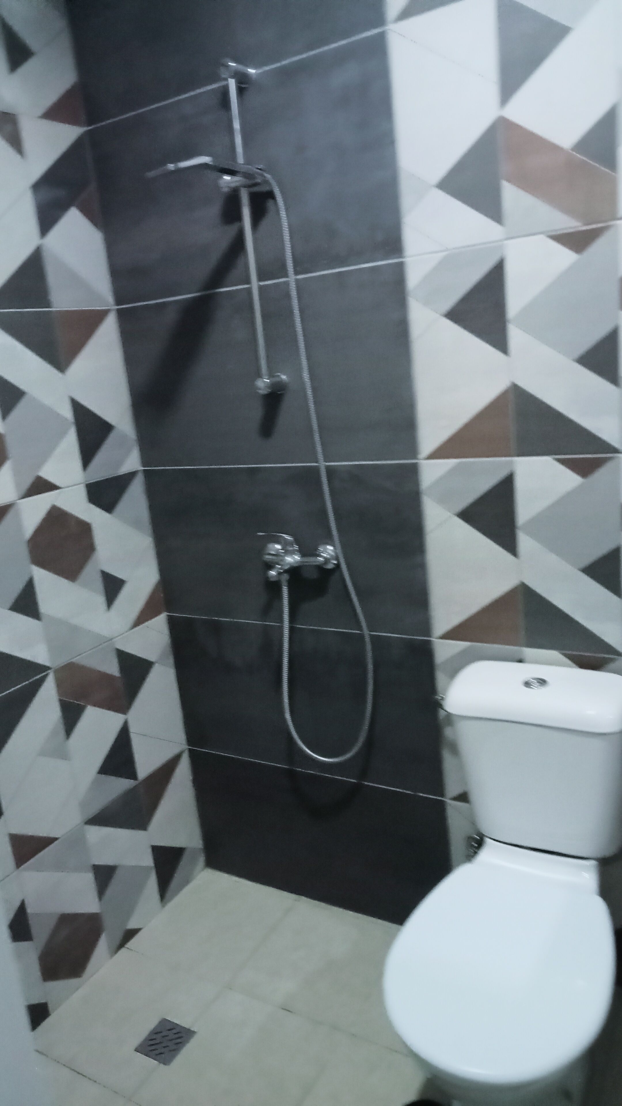 shower, hair dryer, towels, toilet paper