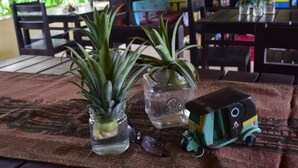 Una mesa de comedor con dos frascos de vidrio que contienen plantas, dos vasos y un tren de juguete.