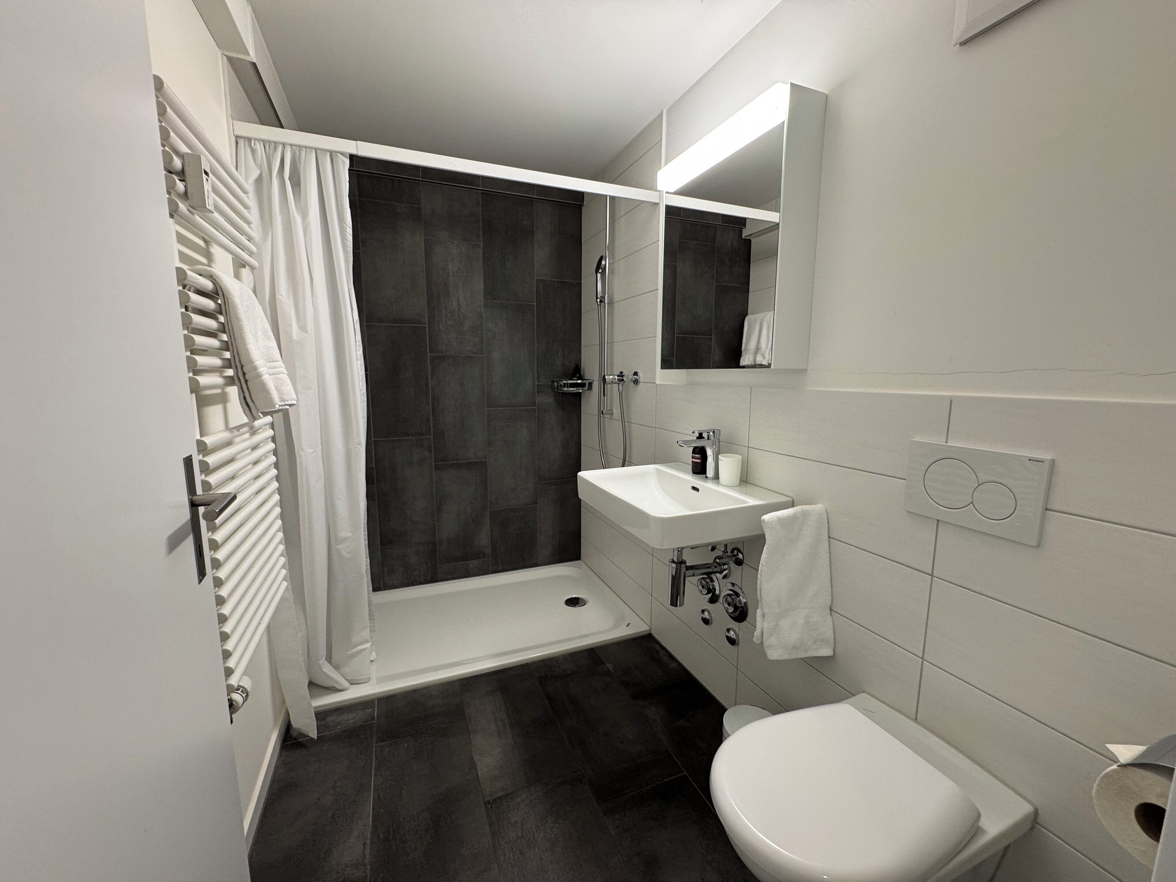 A modern bathroom with a shower, sink, and toilet.